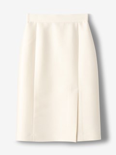ストラスブルゴ(STRASBURGO)のハイウエストタイトスカート SKIRTS / スカート